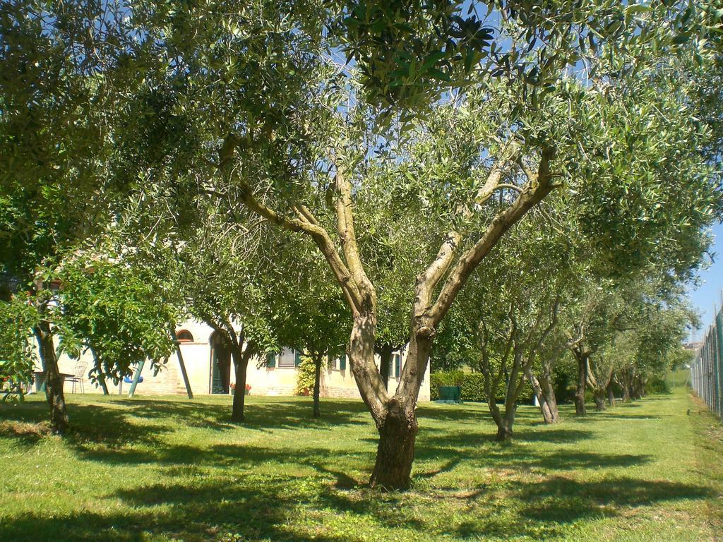 I Ciliegi Acomodação com café da manhã Osimo Exterior foto